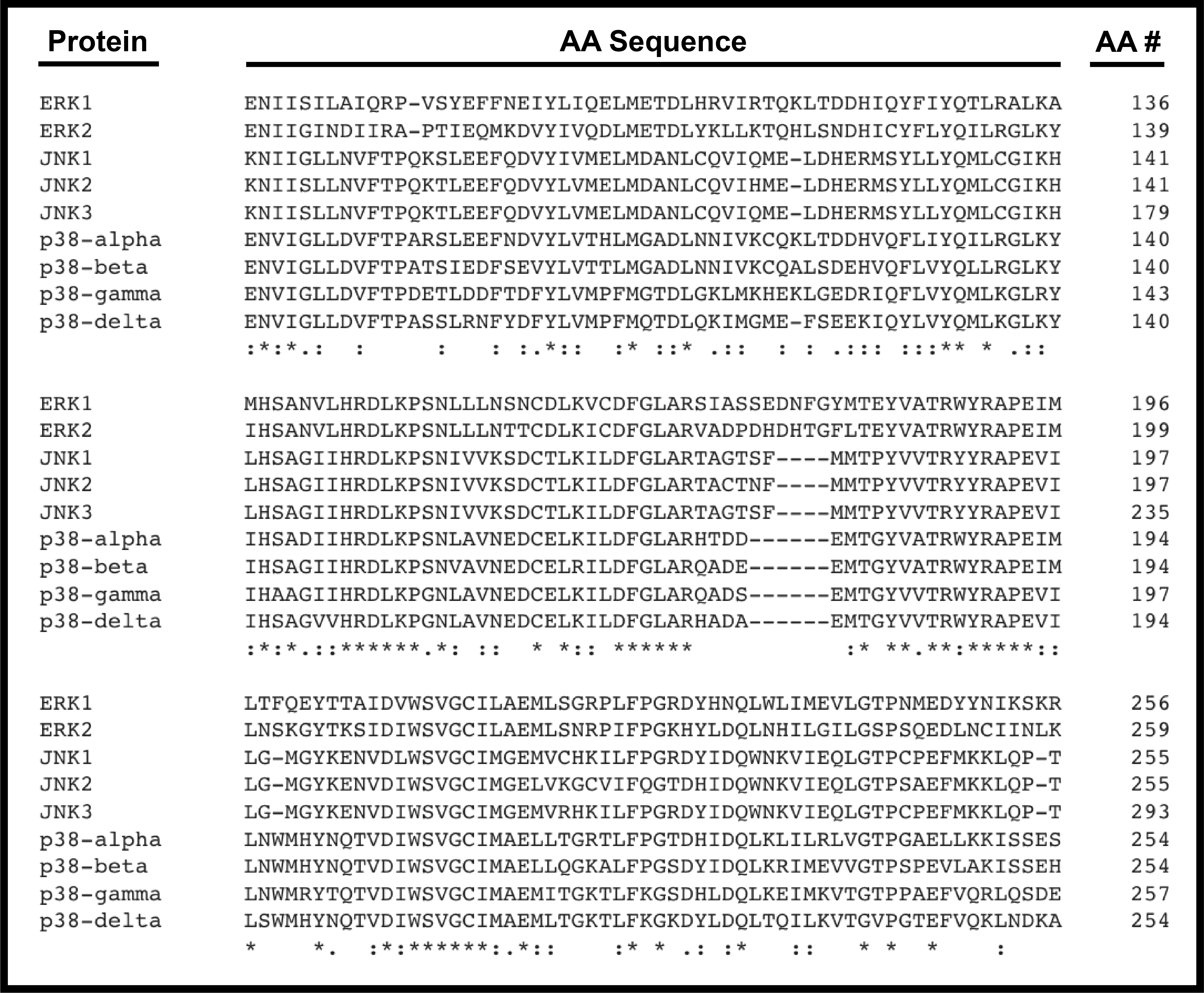 A Survey of the MAP Kinases – Jeremy S. Houser