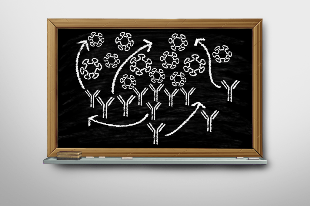 Fantastic Designs – Engineering Antibodies Beyond&nbsp;Recognition