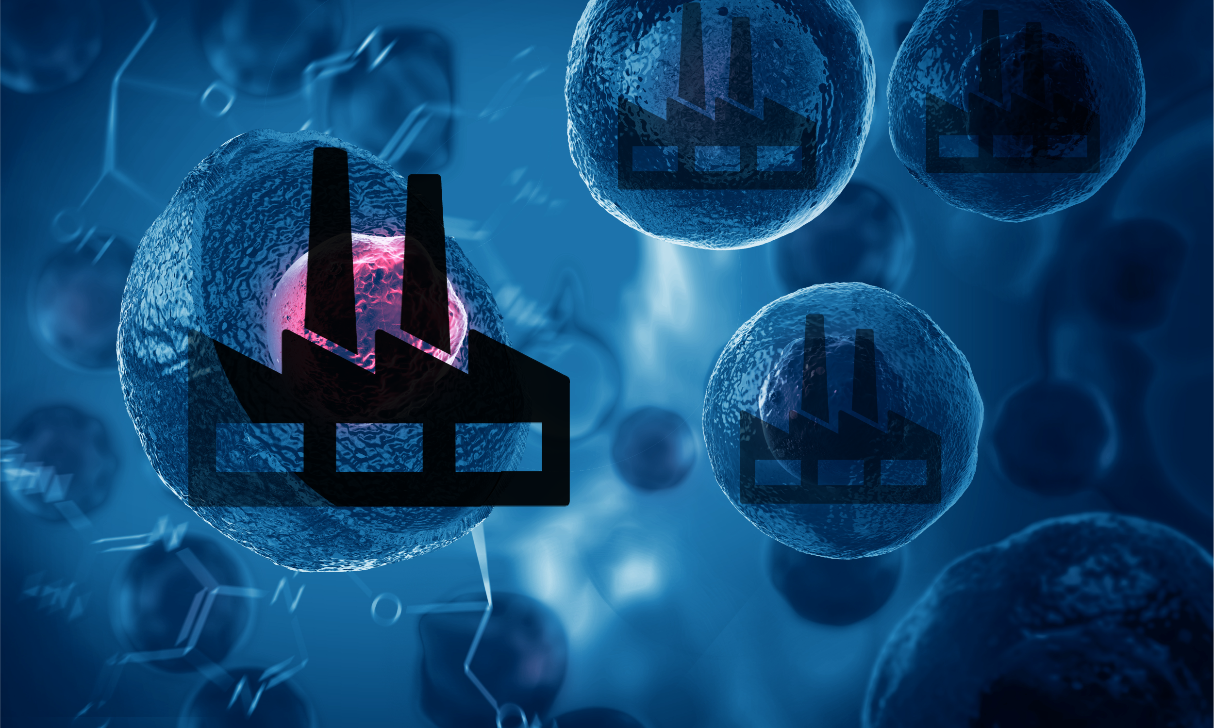 Fantastic Factories – The Mammalian Cell Line Production Systems ...