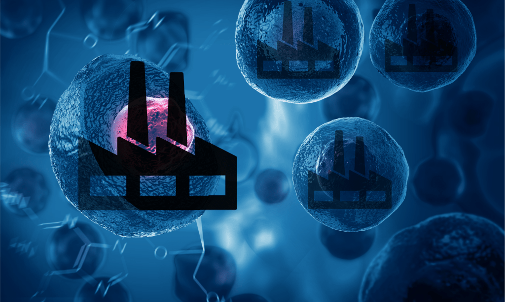 Fantastic Factories – The Mammalian Cell Line Production&nbsp;Systems